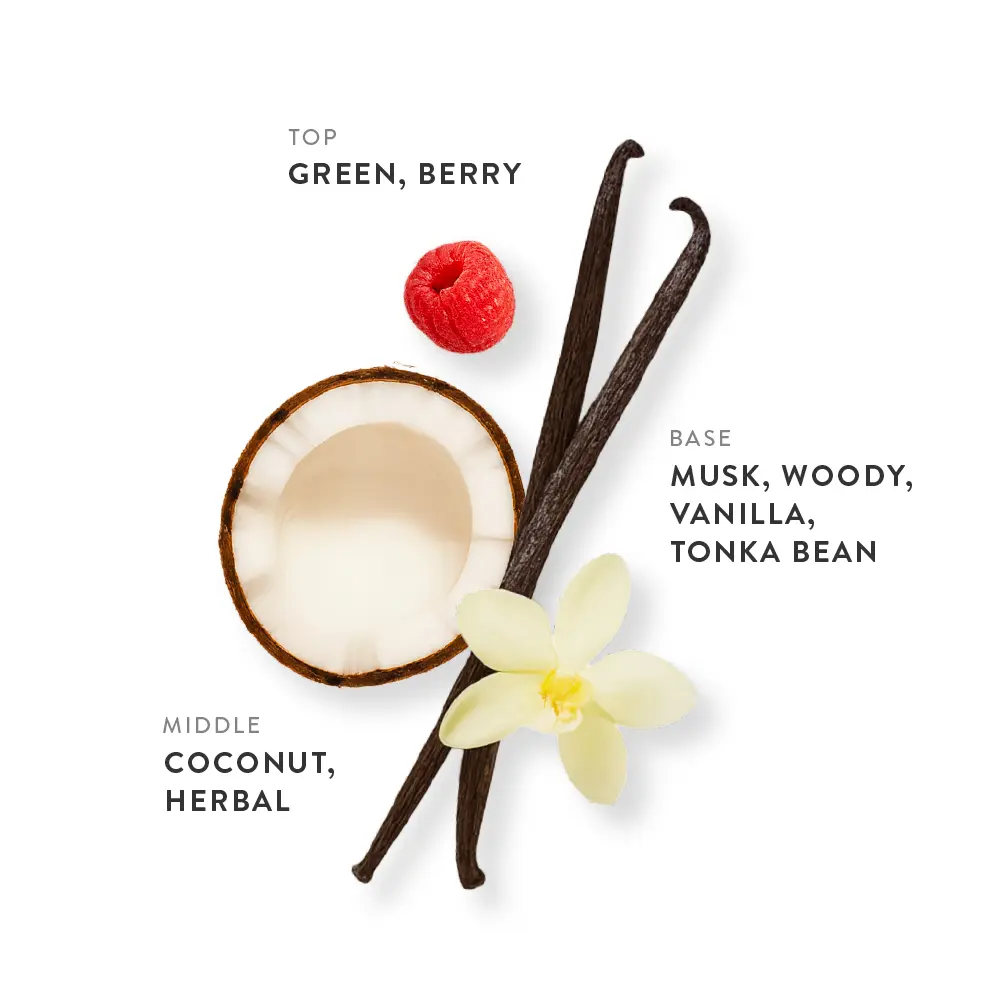 etleƩ Perfume Coconut Cream Eau De Parfum - Image 12