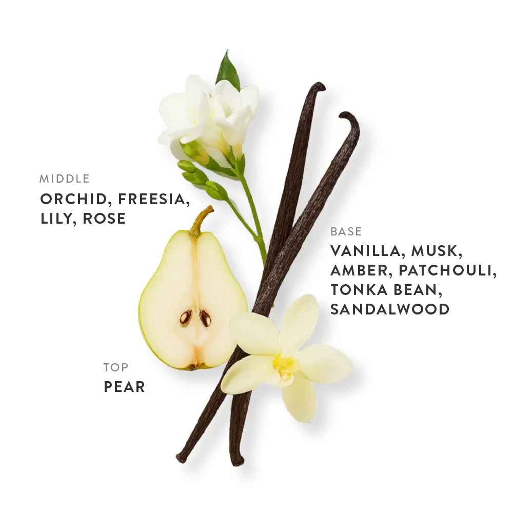 etleé Perfume French Vanilla Eau De Parfum - Image 11