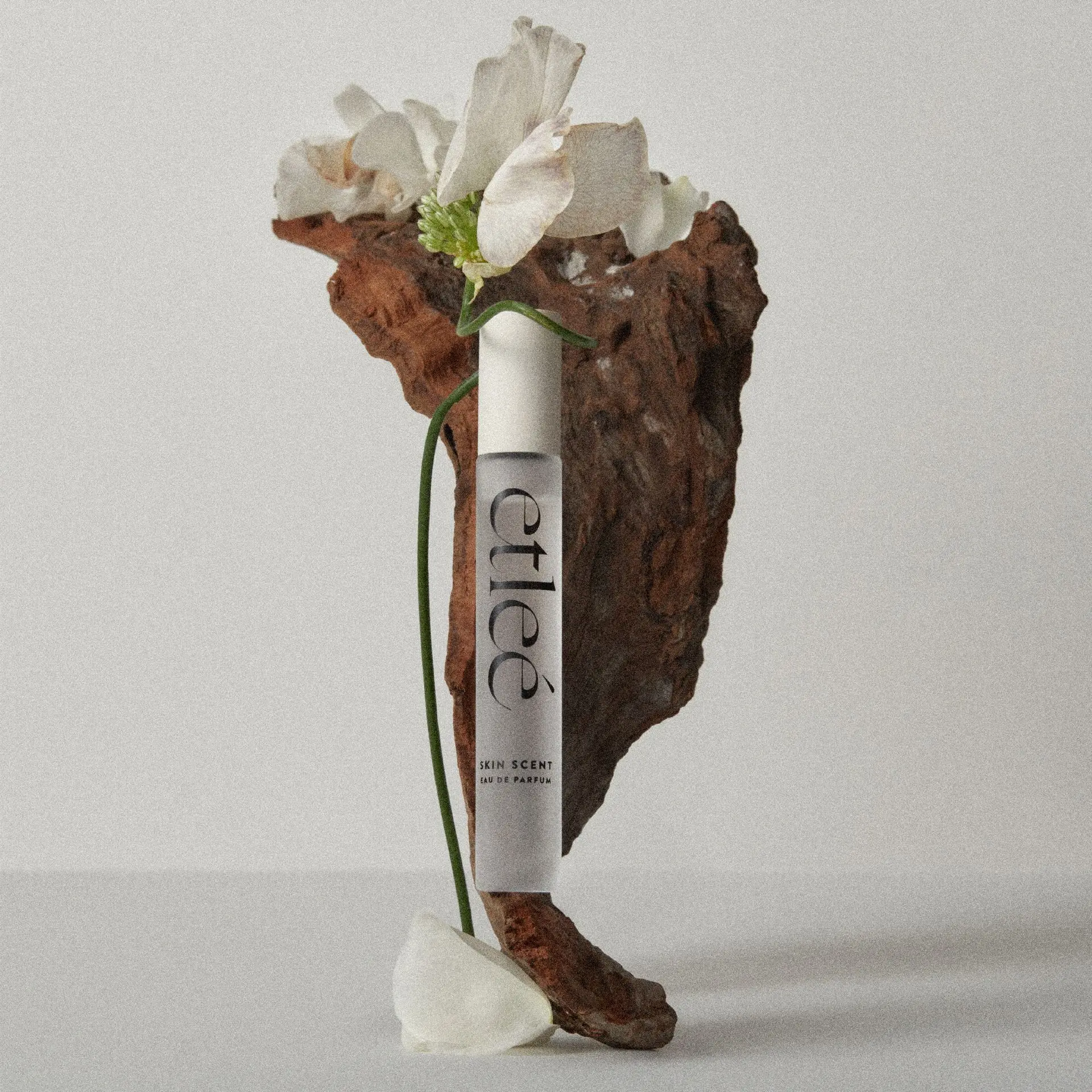 etleƩ Perfume Sensual & Musky Eau De Parfum - Image 20