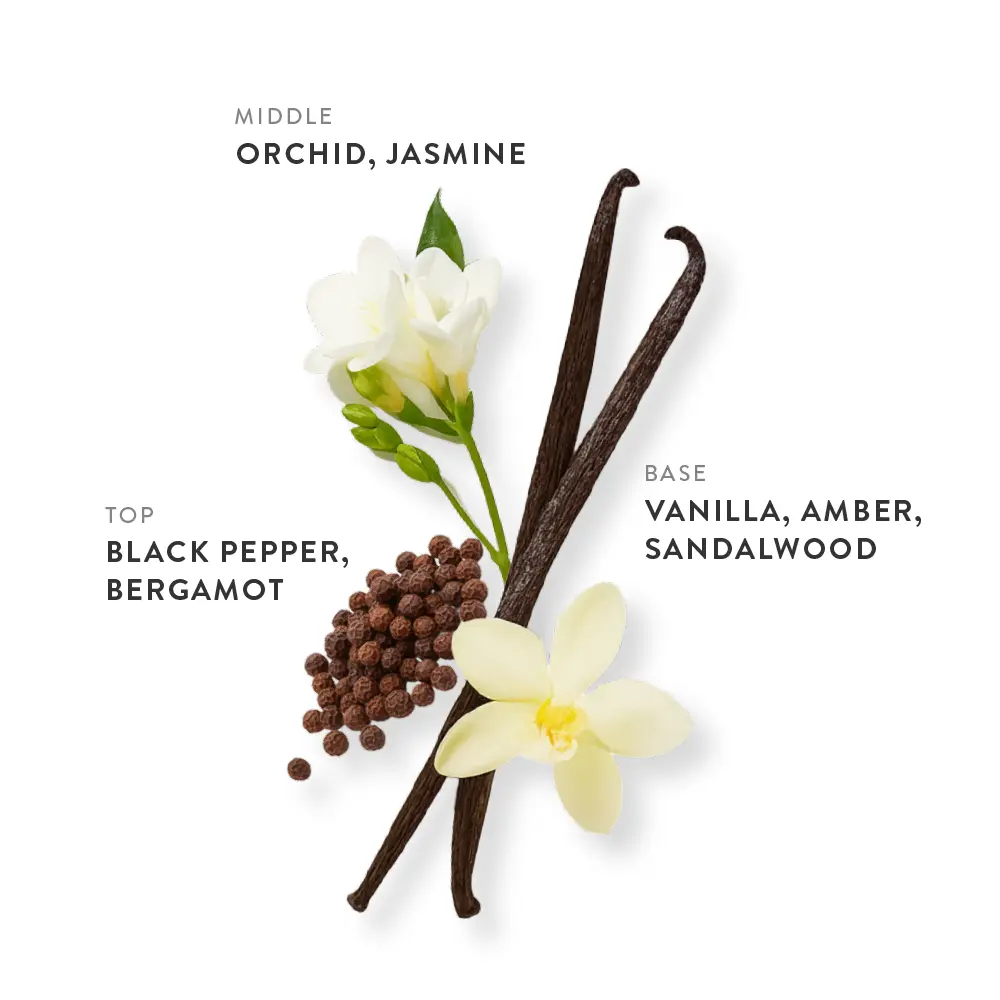 etleé Perfume Toasted Vanilla Eau De Parfum - Image 12