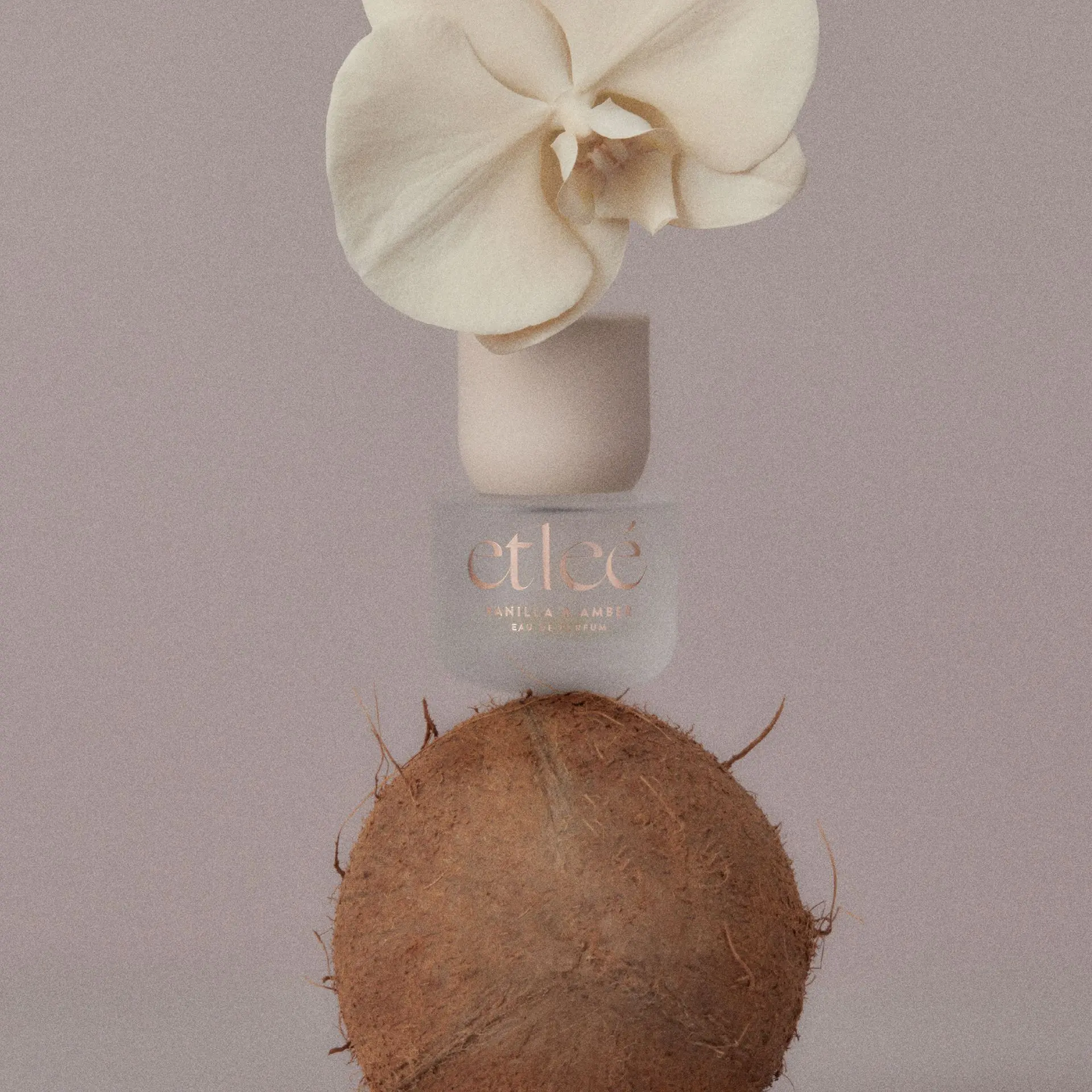 etleé Perfume Vanilla & Amber Eau De Parfum - Image 10